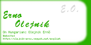 erno olejnik business card